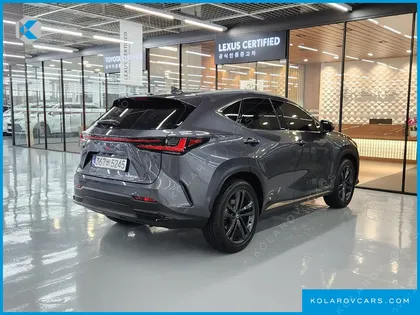 LEXUS NX PREMIUM