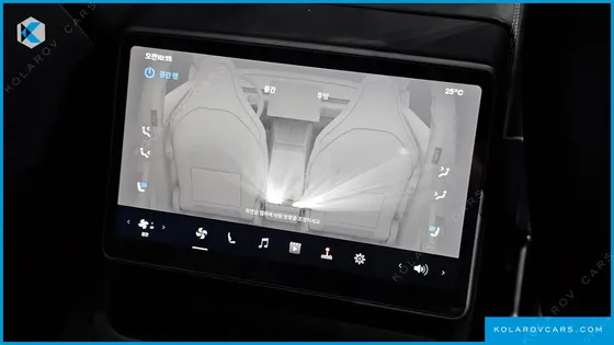 TESLA MODEL Y L LONG RANGE AWD