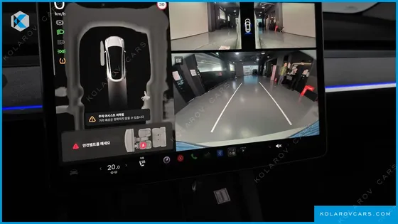 TESLA MODEL Y RWD