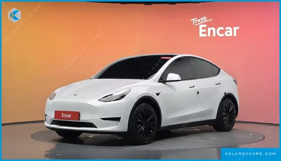 TESLA MODEL Y RWD