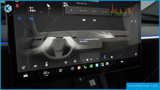 TESLA MODEL Y RWD