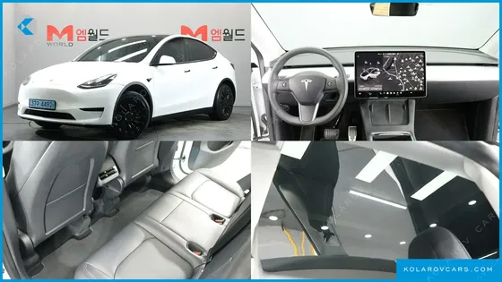 TESLA MODEL Y RWD