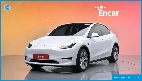 TESLA MODEL Y RWD