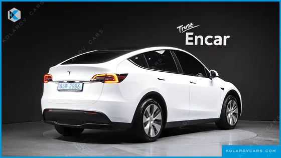TESLA MODEL Y RWD