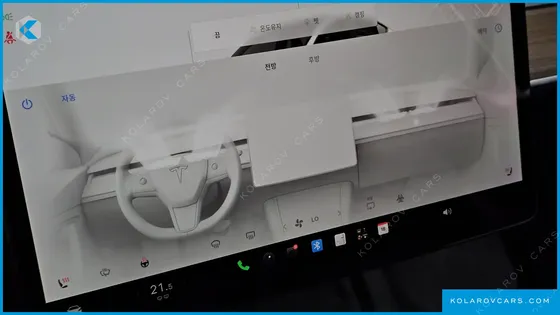 TESLA MODEL Y RWD