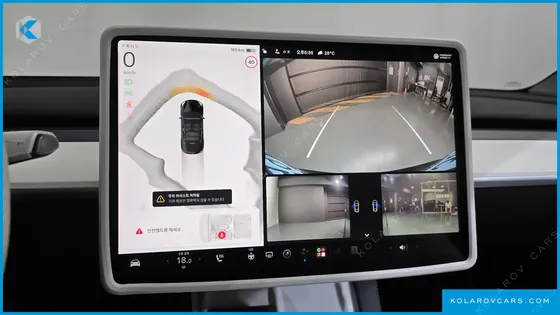 TESLA MODEL Y RWD