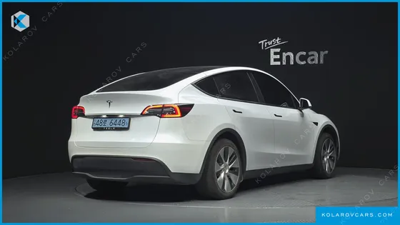 TESLA MODEL Y STANDARD RANGE RWD