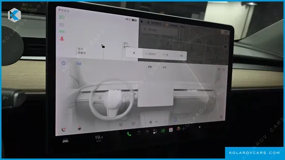 TESLA MODEL Y STANDARD RANGE RWD