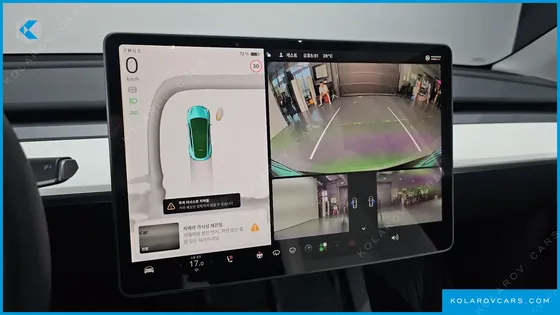 TESLA MODEL Y RWD