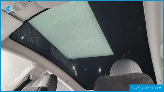 TESLA MODEL Y RWD