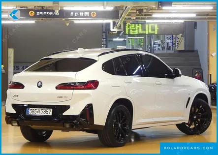 BMW X4 XDRIVE20I M SPORT PRO SPECIAL EDITION