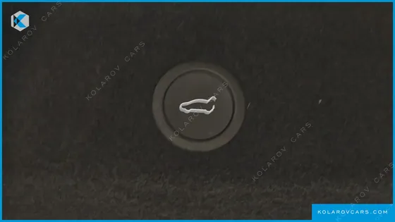 TESLA MODEL Y PREMIUM RWD