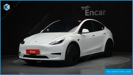 TESLA MODEL Y RWD