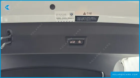 BMW X4 XDRIVE20I M SPORTS X ONLILE EXCLUSIVE EDITION