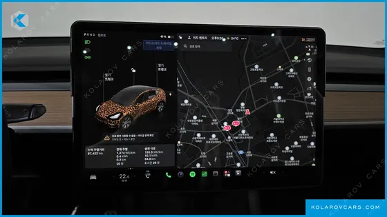 TESLA MODEL Y STANDARD RANGE RWD