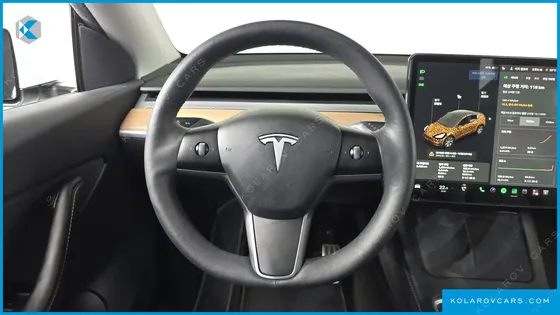 TESLA MODEL Y STANDARD RANGE RWD