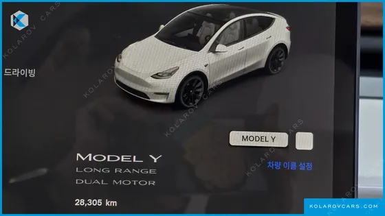 TESLA MODEL Y LONG RANGE AWD