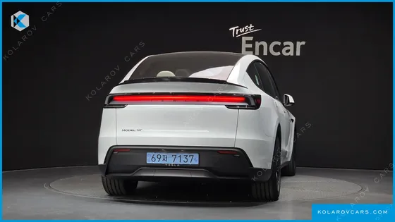 TESLA MODEL Y L LONG RANGE AWD