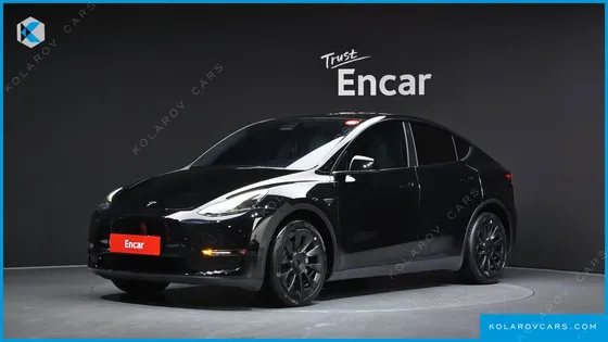 TESLA MODEL Y LONG RANGE AWD