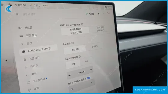 TESLA MODEL Y L LONG RANGE AWD