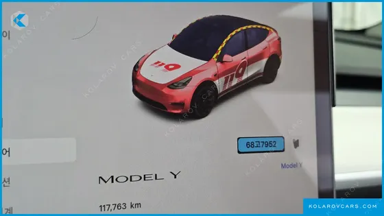 TESLA MODEL Y RWD