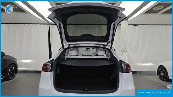 TESLA MODEL Y RWD