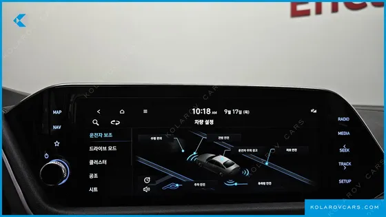 HYUNDAI SONATA 2.0 LPG(DISABLED PERSON)