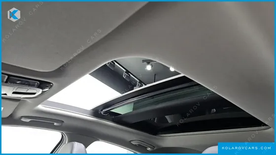 HYUNDAI SONATA 2.0 LPG(DISABLED PERSON)