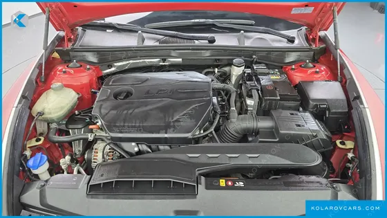 HYUNDAI SONATA 2.0 LPG(DISABLED PERSON)