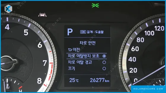 HYUNDAI SONATA 2.0 LPG(DISABLED PERSON)