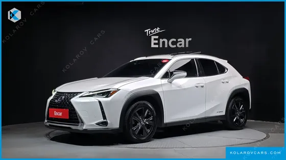 LEXUS UX 2.0 2WD