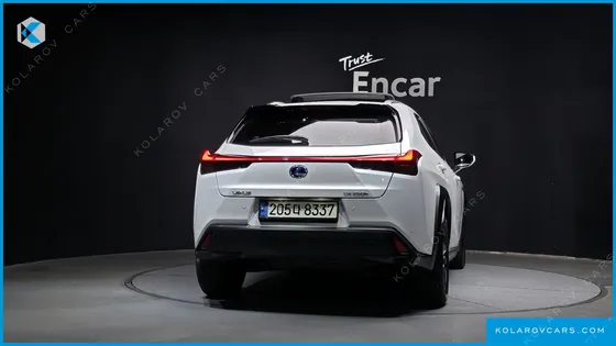 LEXUS UX 2.0 2WD