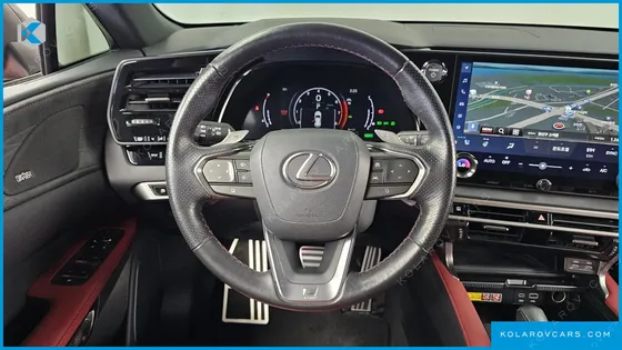 LEXUS RX F-SPORT