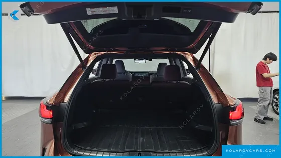 LEXUS RX F-SPORT