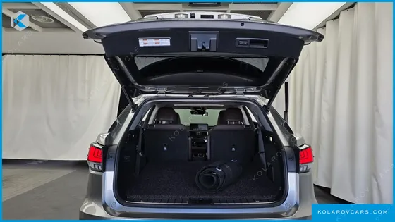 LEXUS RX LUXURY PLUS