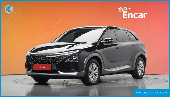 HYUNDAI NEXO MODERN