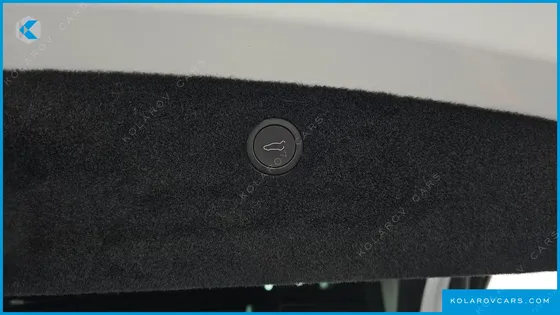 TESLA MODEL X PLAID