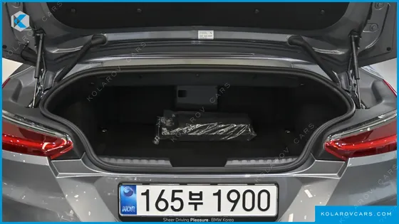 BMW Z4 SDRIVE20I M SPORT