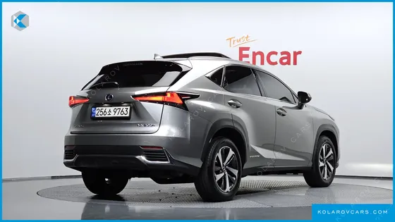 LEXUS NX EXECUTIVE