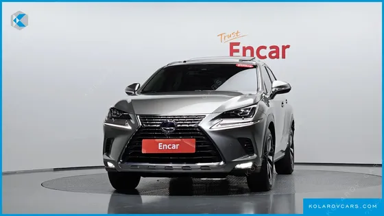 LEXUS NX EXECUTIVE
