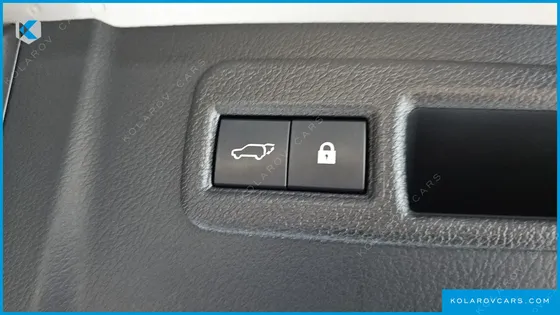 LEXUS NX EXECUTIVE
