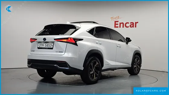 LEXUS NX EXECUTIVE