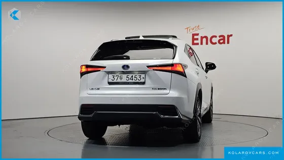 LEXUS NX EXECUTIVE