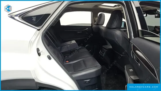 LEXUS NX EXECUTIVE