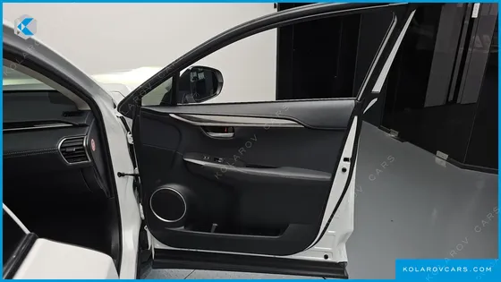 LEXUS NX EXECUTIVE