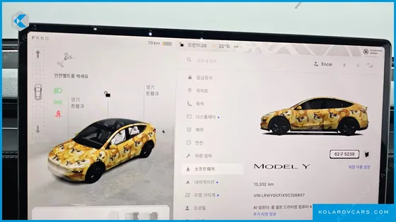 TESLA MODEL Y RWD