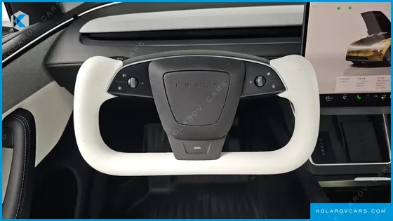 TESLA MODEL Y RWD