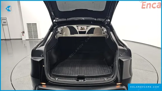 TESLA MODEL Y RWD