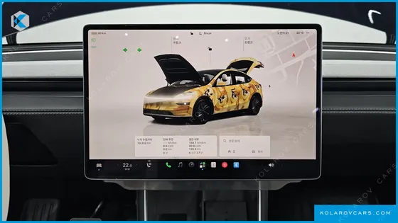 TESLA MODEL Y RWD