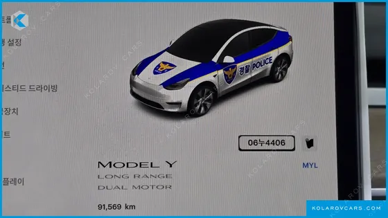 TESLA MODEL Y LONG RANGE AWD